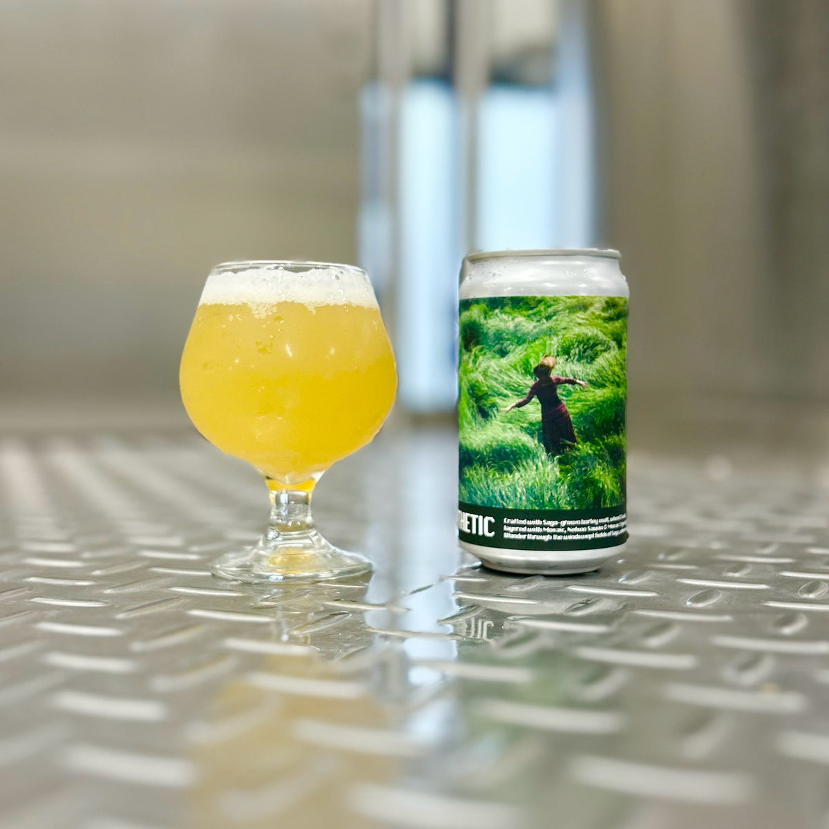 AESTHETIC / HAZY IPA 6本セット